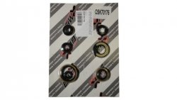 BEARING WORX KOMPLET (ZESTAW) USZCZELNIACZY SILNIKOWYCH SUZUKI RM 85 02-15, RM 85L 03-15 (822176)