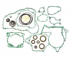ATHENA KOMPLET USZCZELEK BETA 250/300RR 13-24 (2T) ( Z USZCZELNIACZAMI SILNIKOWYMI )(zastępuje P400060900011); J0000BT000866