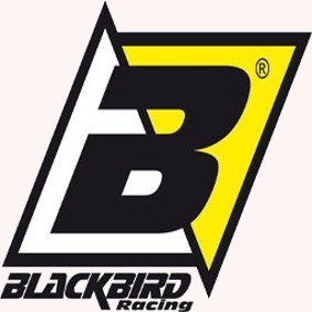  BLACKBIRD Paski (komplet naklejek) do oklejania kół Racing kolor zielony
