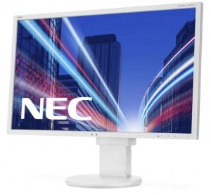 Monitor 22 cale EA223WM biały W-LED TFT, DVI