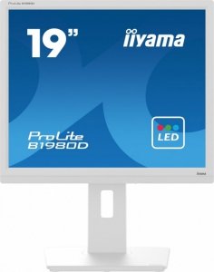 Monitor 19 cali B1980D-W5 DVI,VGA,PIVIOT,HAS/150mm,5:4