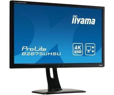 Monitor 28 B2875UHSU-B1 4K,TN,HDMI,DP,USB,PIP,PBP, WYJ. SŁUCH.