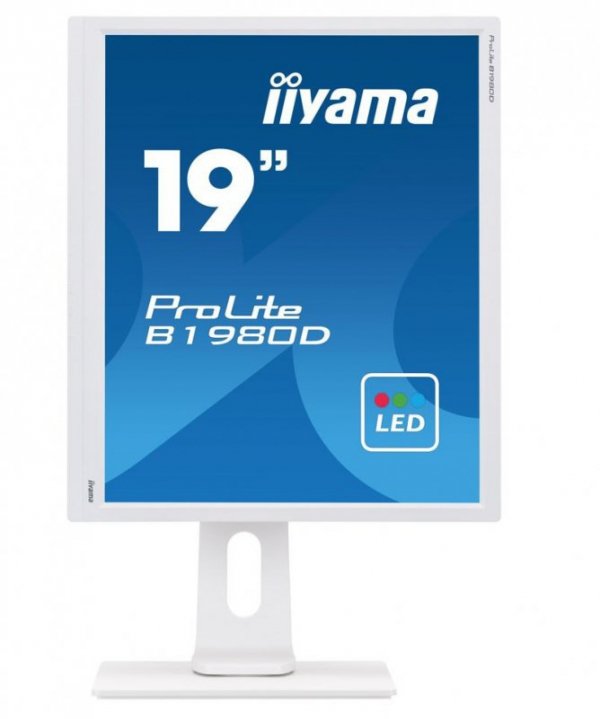 Monitor 19 cali B1980D-W1 DVI/VGA/5:4/PIVOT/HAS/ACR/VESA
