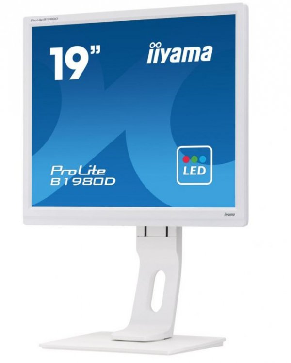 Monitor 19 cali B1980D-W1 DVI/VGA/5:4/PIVOT/HAS/ACR/VESA
