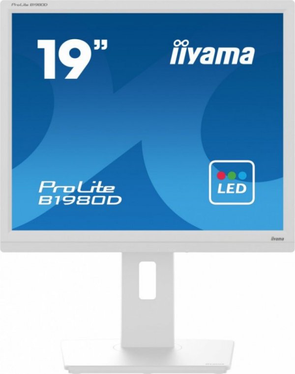 Monitor 19 cali B1980D-W5 DVI,VGA,PIVIOT,HAS/150mm,5:4