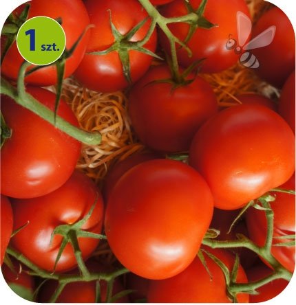 Pomidor Phantasia F1