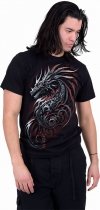 Dragon Shards - Spiral Direct