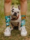 Dog Friends - Socks Good Mood