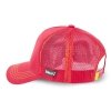 Looney Tunes Wile E. Coyote Trucker - Cap Capslab
