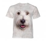 Big Face Terrier - The Mountain - Junior