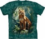 Tiger Grove  - The Mountain