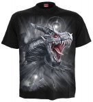 Dragon`s Cry - Spiral