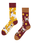 French Bulldog - Socks Good Mood