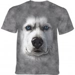 Big Face Siberian Husky - The Mountain