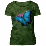 Blue Morpho Illustration - The Mountain Ladies