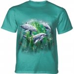 Dolphin Kelp Bed - The Mountain