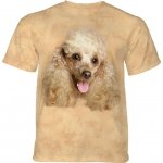 Happy Poodle Portrait - The Mountain