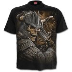 Viking Warrior - Spiral