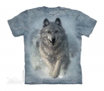 Snow Plow - The Mountain - Junior