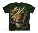 Emerald Forest - The Mountain - Junior