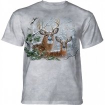 Whitetail Winter Deer - The Mountain