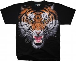 Tiger Face - Liquid Blue