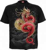 Shenlong - Spiral Direct