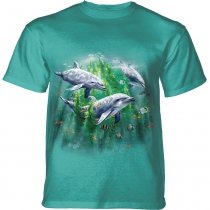 Dolphin Kelp Bed - The Mountain