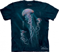 Jellyfish -  The Mountain