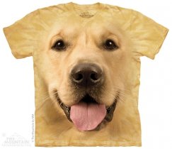 Big Face Golden - The Mountain