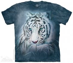 Thoughtful White Tiger - The Mountain