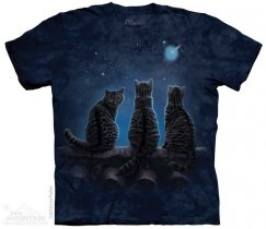 Wish Upon a Star - The Mountain