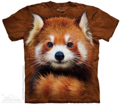 Red Panda Portrait - The Mountain