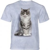 Norwegian Forest Cat - The Mountain