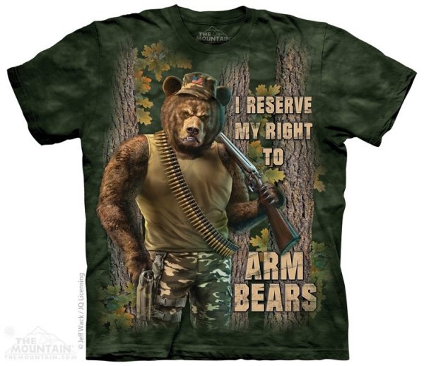 Arm Bears - The Mountain