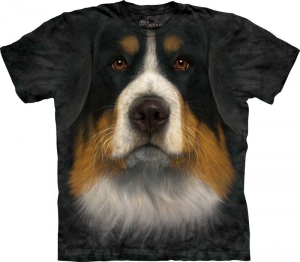 Bernese Mountain Dog Face - The Mountain