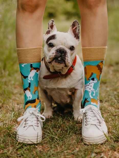 Dog Friends - Socks Good Mood