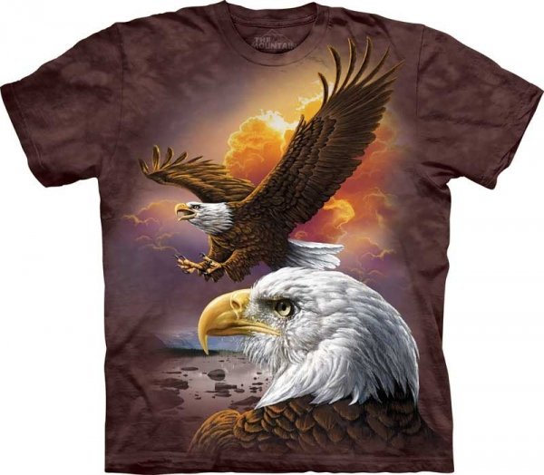 Eagle &amp; Clouds - The Mountain