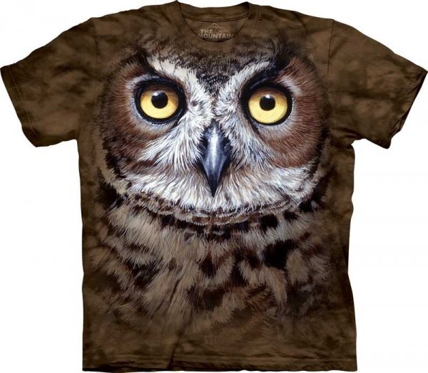 Great Horned Owl Head - The Mountain