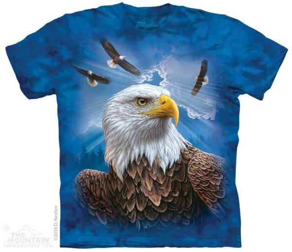 Guardian Eagle - The Mountain