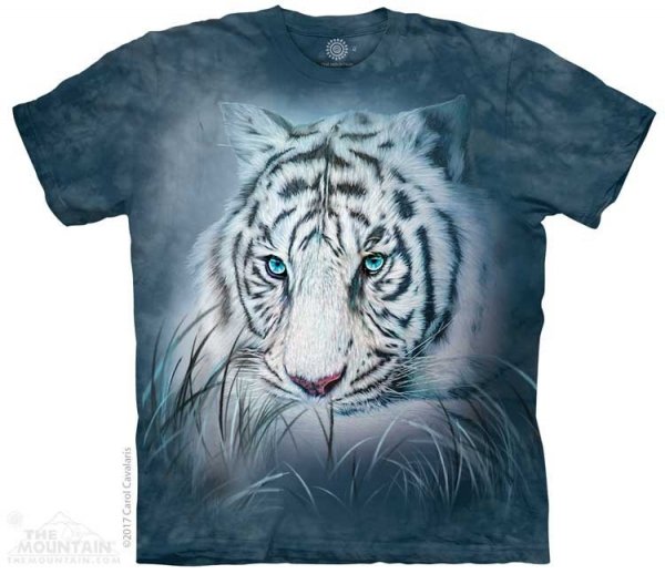 Thoughtful White Tiger - The Mountain