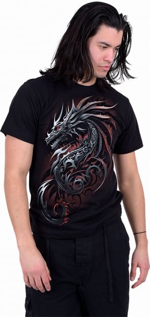 Dragon Shards - Spiral Direct