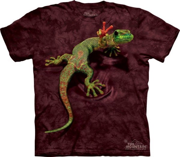 Peace Out Gecko - The Mountain