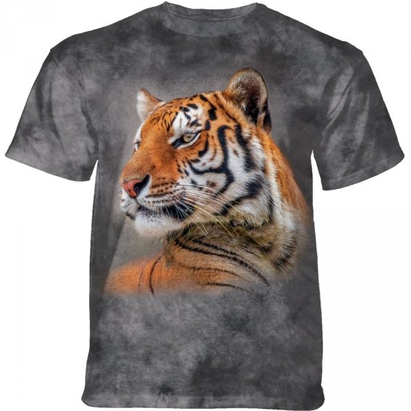 A Turn of the Head Tiger - The Mountain