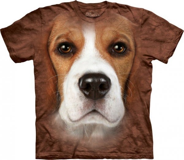 Beagle Face - The Mountain