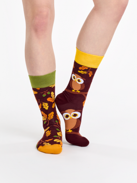 Curious Owl - Socks Good Mood
