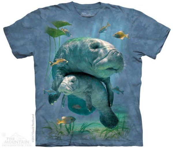 Manatees Collage - The Mountain