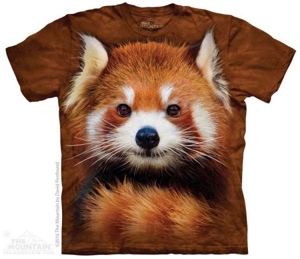 Red Panda Portrait - The Mountain