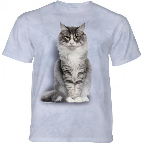 Norwegian Forest Cat - The Mountain