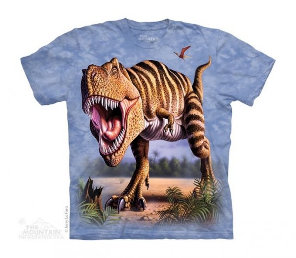 Striped Rex - The Mountain Junior